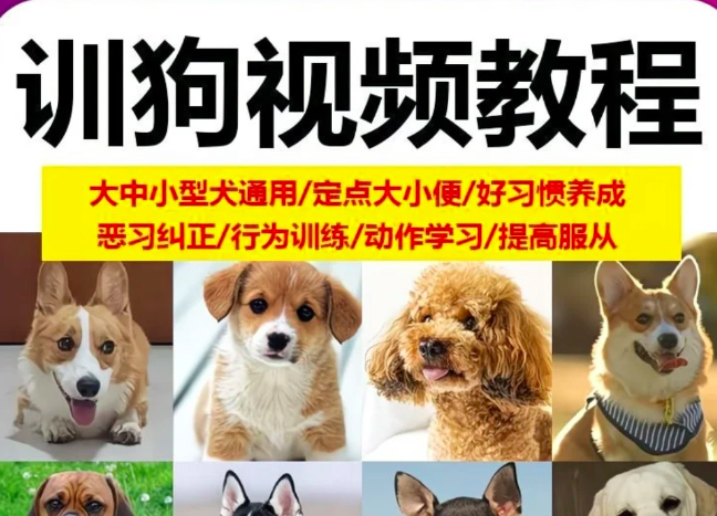 养了3年狗，花了6000块送去训狗学校，不如这套视频教程管用（全犬通用）