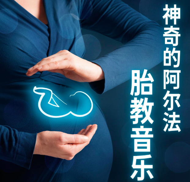 阿尔法胎教音乐360首 MP3格式 花费298在小红书买来的珍贵资源