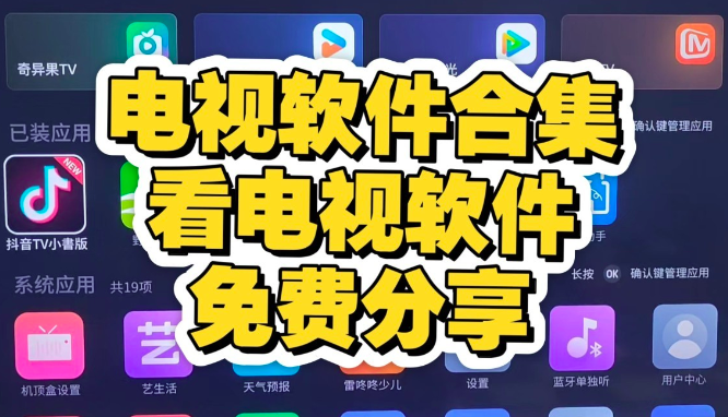 闲鱼卖69块钱的的TV软件全合集 ( 安装即用，无付费，更至最新版 )